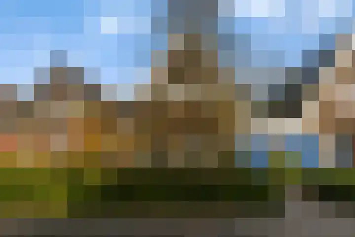 Heechhiem 5 Goutum foto 3