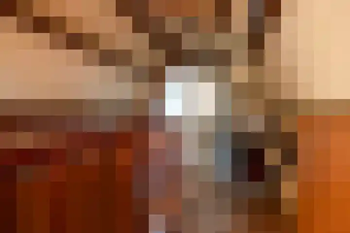 Heechhiem 5 Goutum thumbnail 36