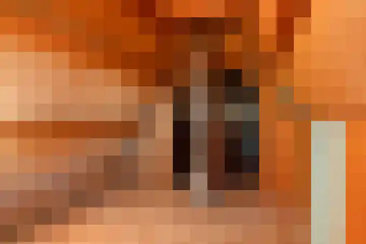 Heechhiem 5 Goutum thumbnail 38
