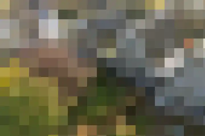 Heechhiem 5 Goutum thumbnail 42