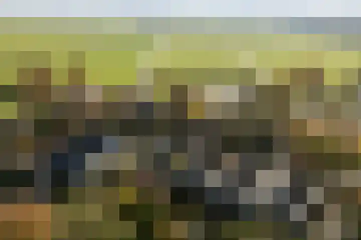 Heechhiem 5 Goutum thumbnail 43