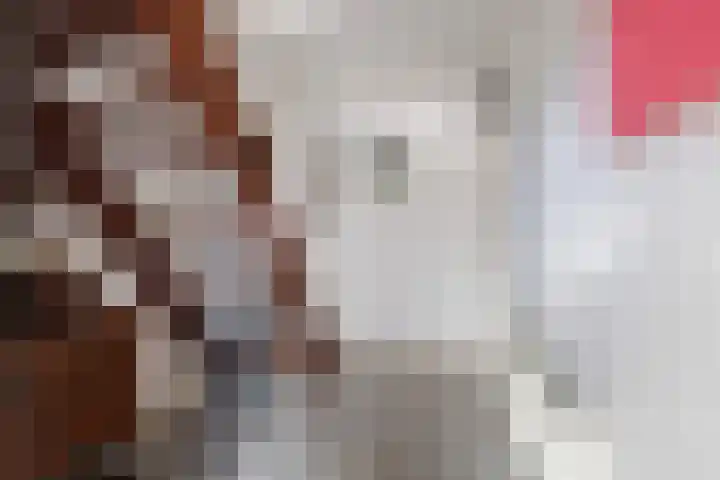 Heechhiem 5 Goutum thumbnail 8