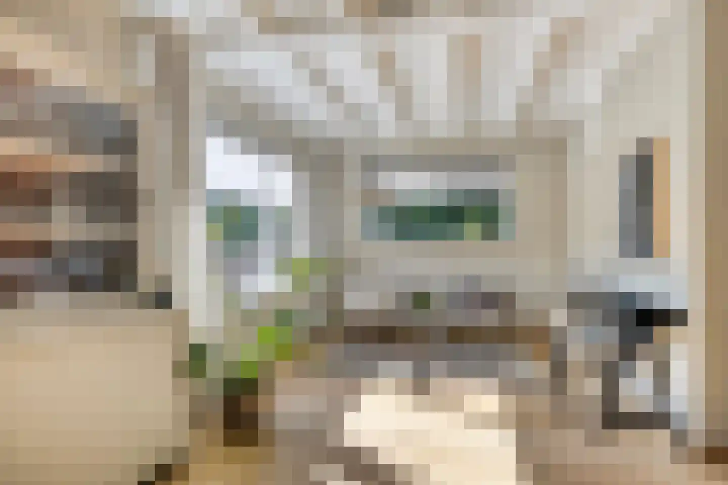 Heechhout 13 Rottum thumbnail 14