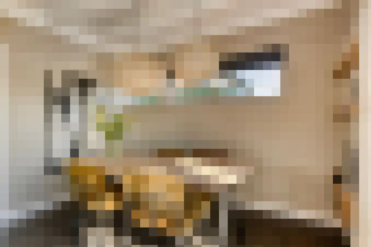 Heechhout 13 Rottum thumbnail 19