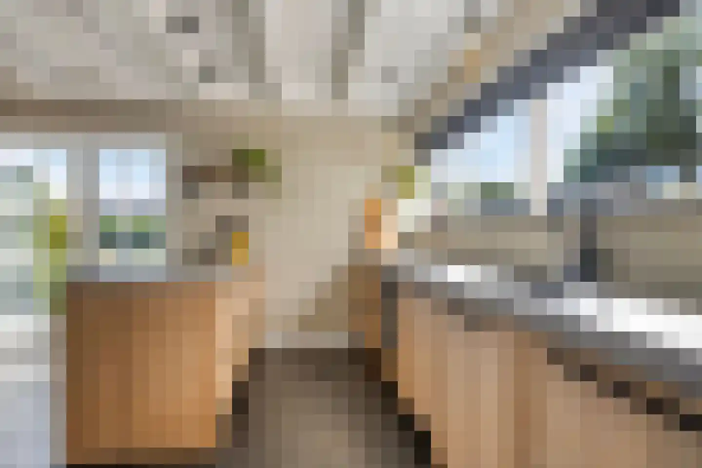 Heechhout 13 Rottum thumbnail 20