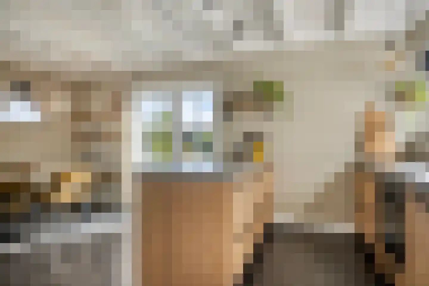 Heechhout 13 Rottum thumbnail 21