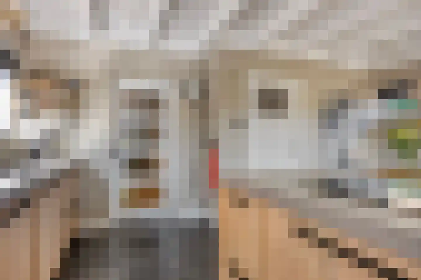 Heechhout 13 Rottum thumbnail 22