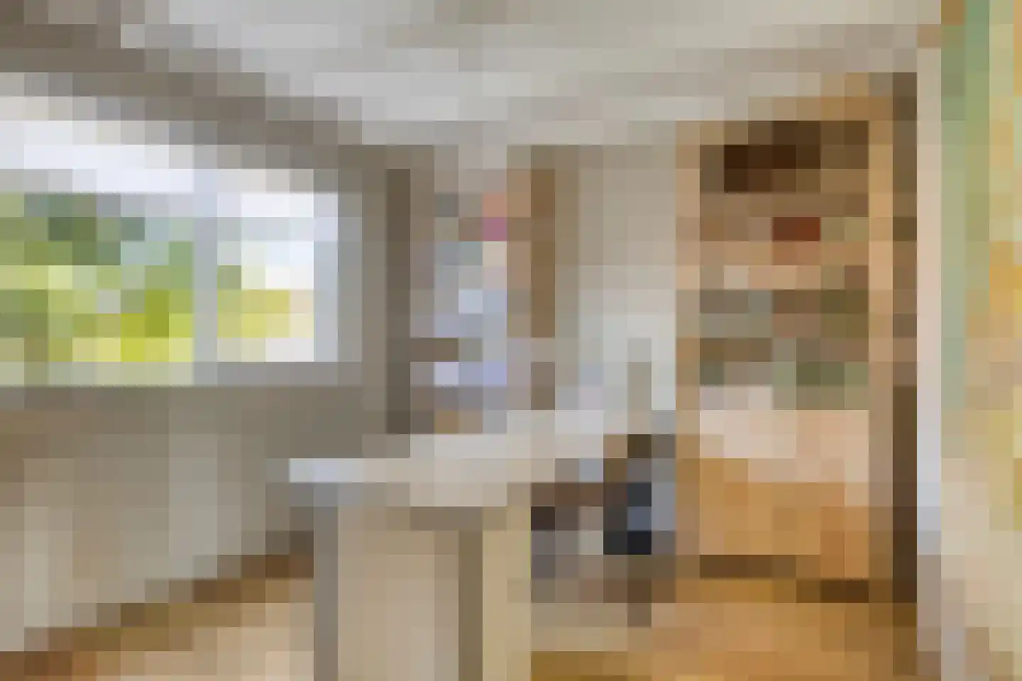 Heechhout 13 Rottum thumbnail 35