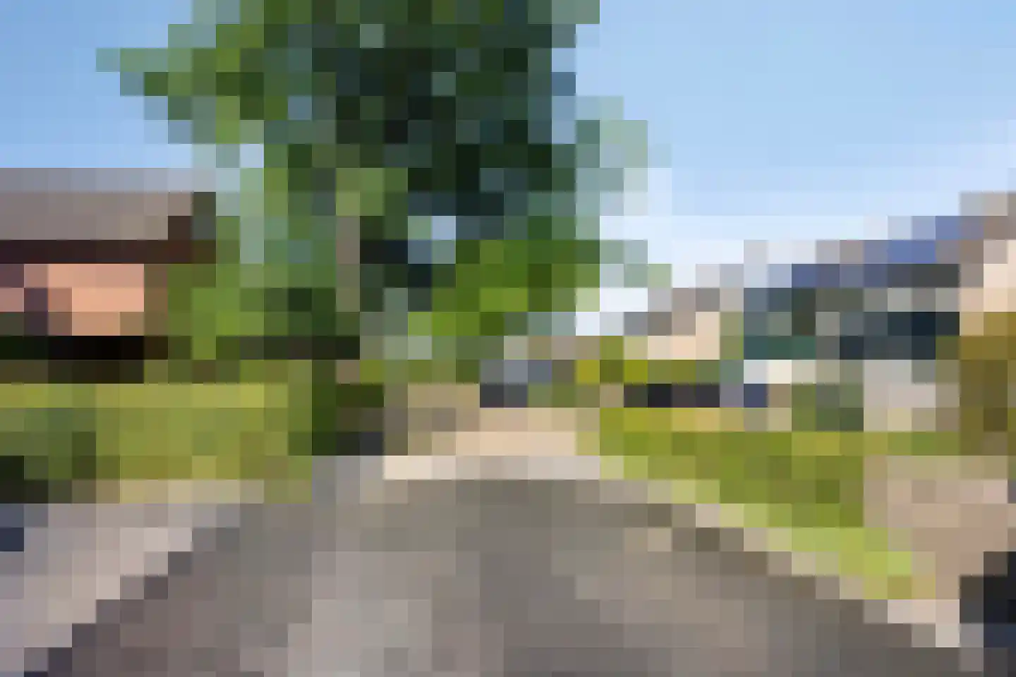 Heechhout 13 Rottum thumbnail 4
