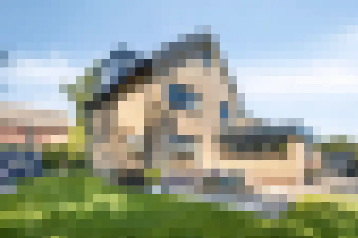 Heechhout 13 Rottum thumbnail 43