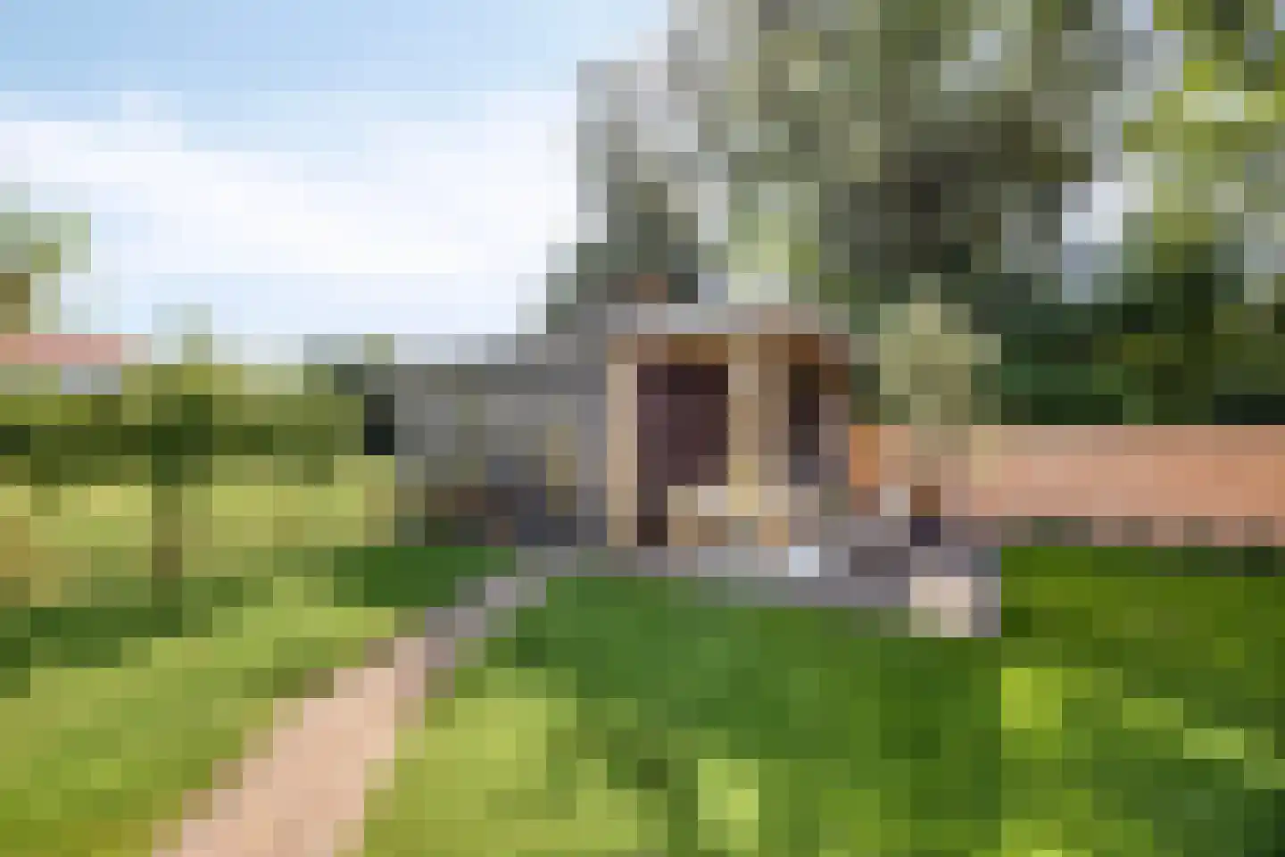 Heechhout 13 Rottum thumbnail 45