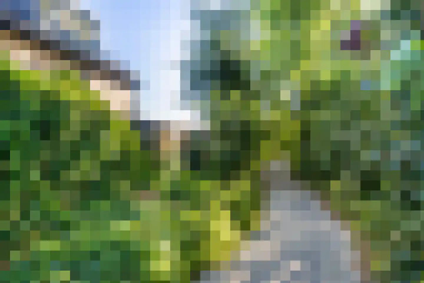 Heechhout 13 Rottum thumbnail 54