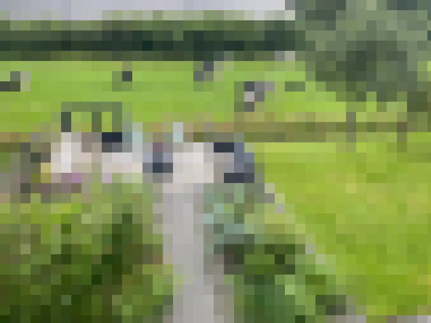 Heechhout 13 Rottum thumbnail 55