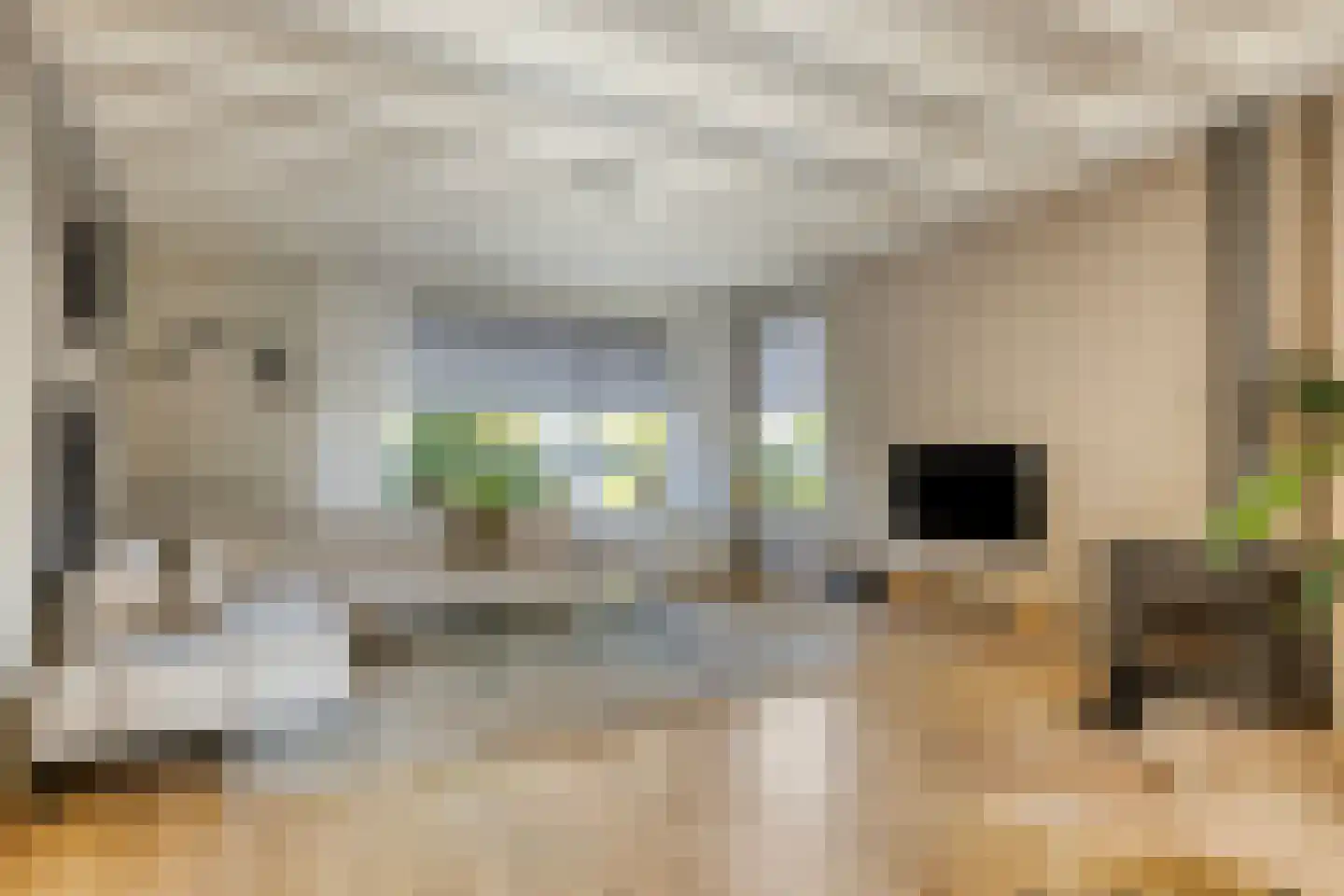 Heechhout 13 Rottum thumbnail 9