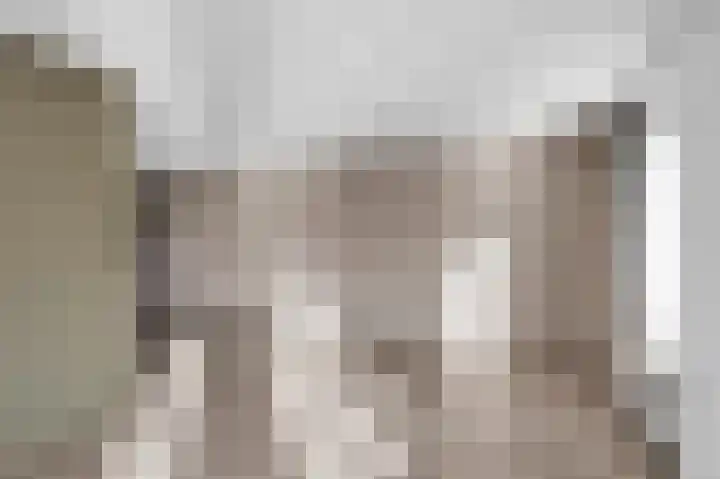 Heechkamp 10 Balk thumbnail 10