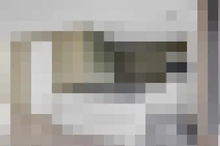 Heechkamp 10 Balk thumbnail 11