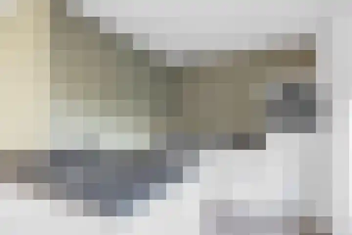 Heechkamp 10 Balk thumbnail 13