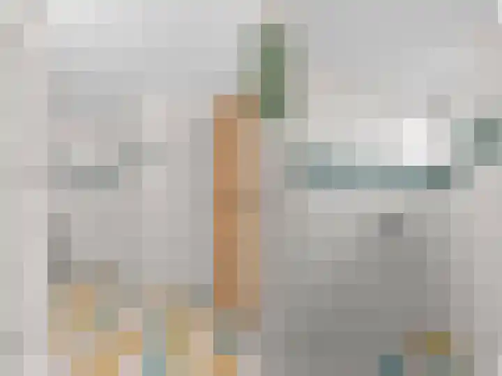 Heechkamp 10 Balk thumbnail 25