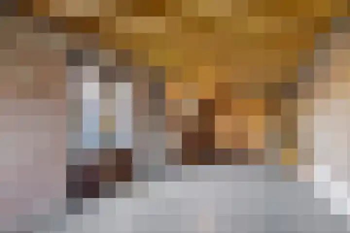 Heechkamp 10 Balk thumbnail 30
