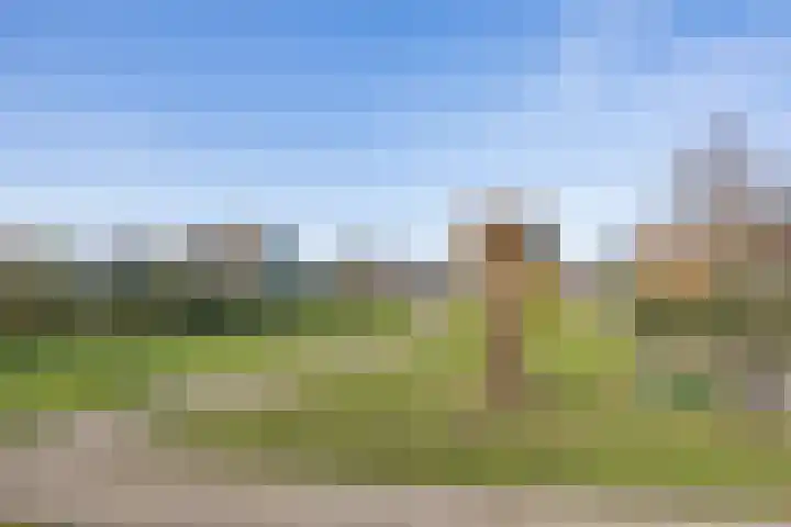 Heechkamp 10 Balk thumbnail 39