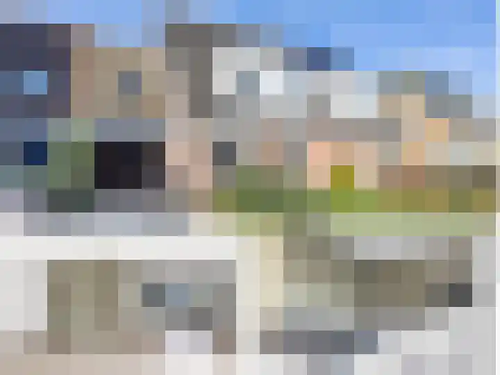 Heechkamp 10 Balk thumbnail 4