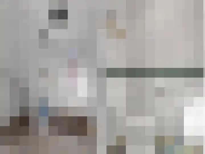 Heechkamp 10 Balk thumbnail 7