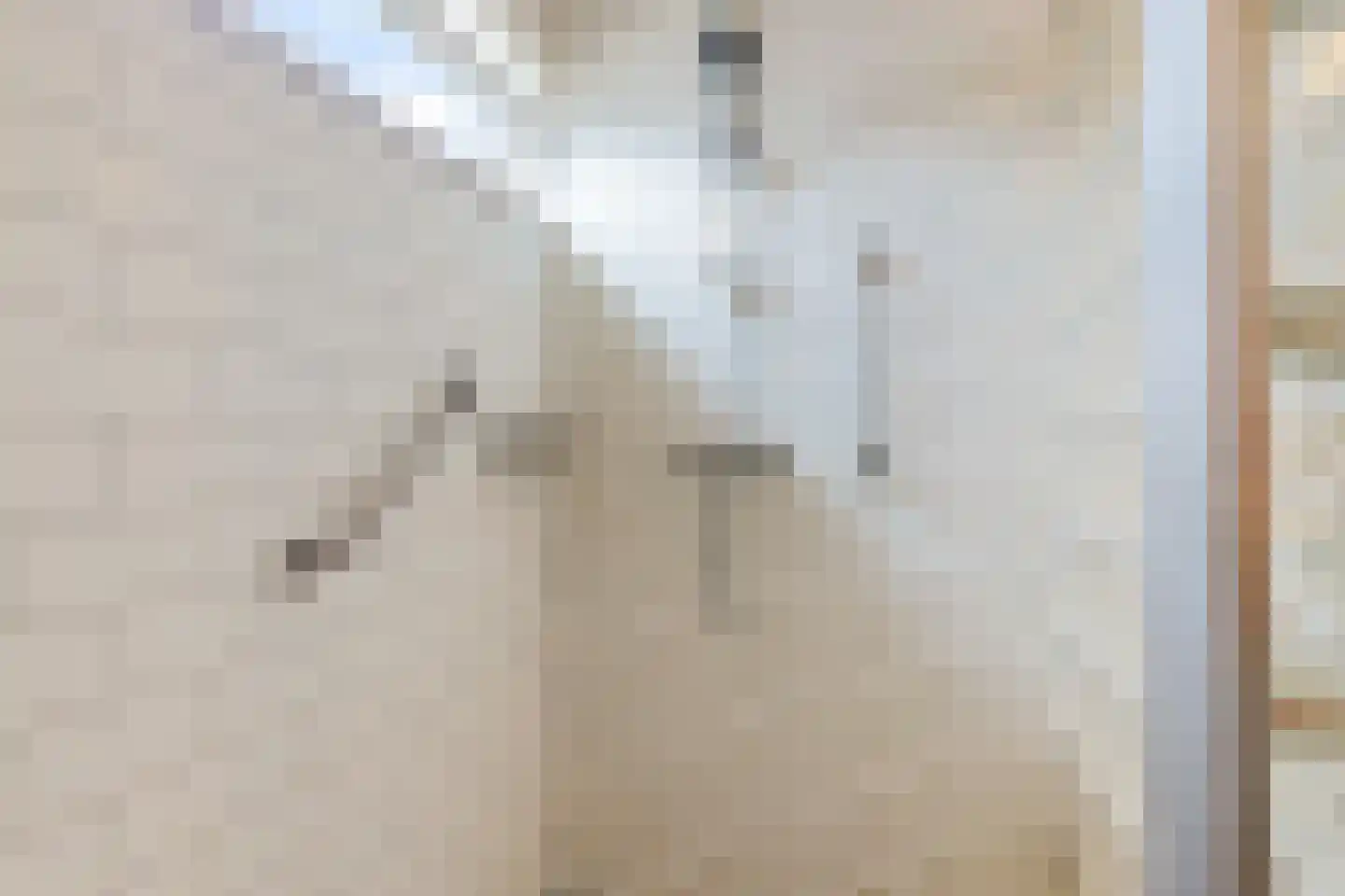 Heechkamp 8 Balk thumbnail 24