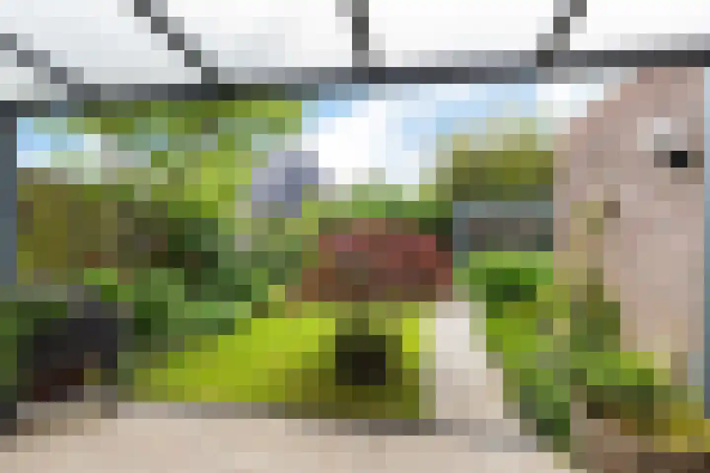 Heechkamp 8 Balk thumbnail 31