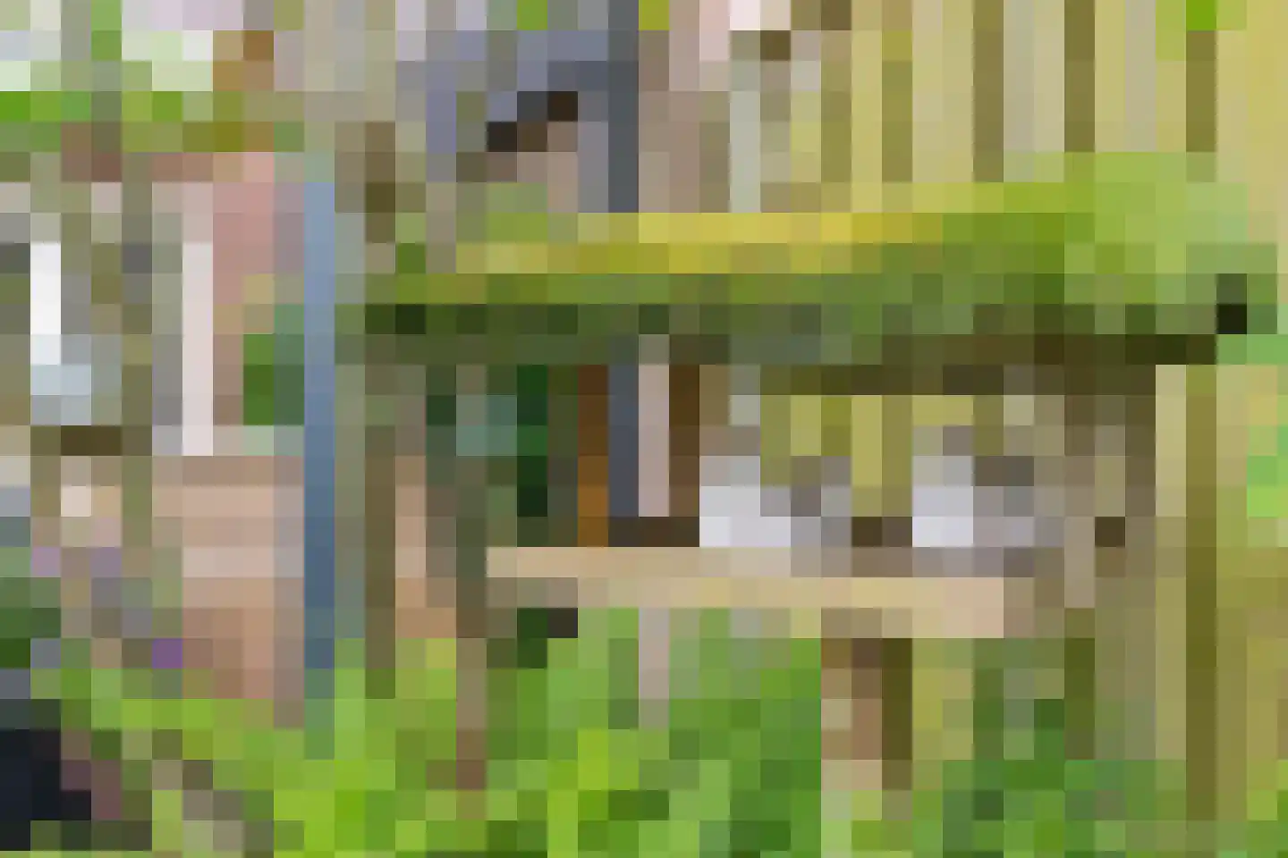 Heechkamp 8 Balk thumbnail 36