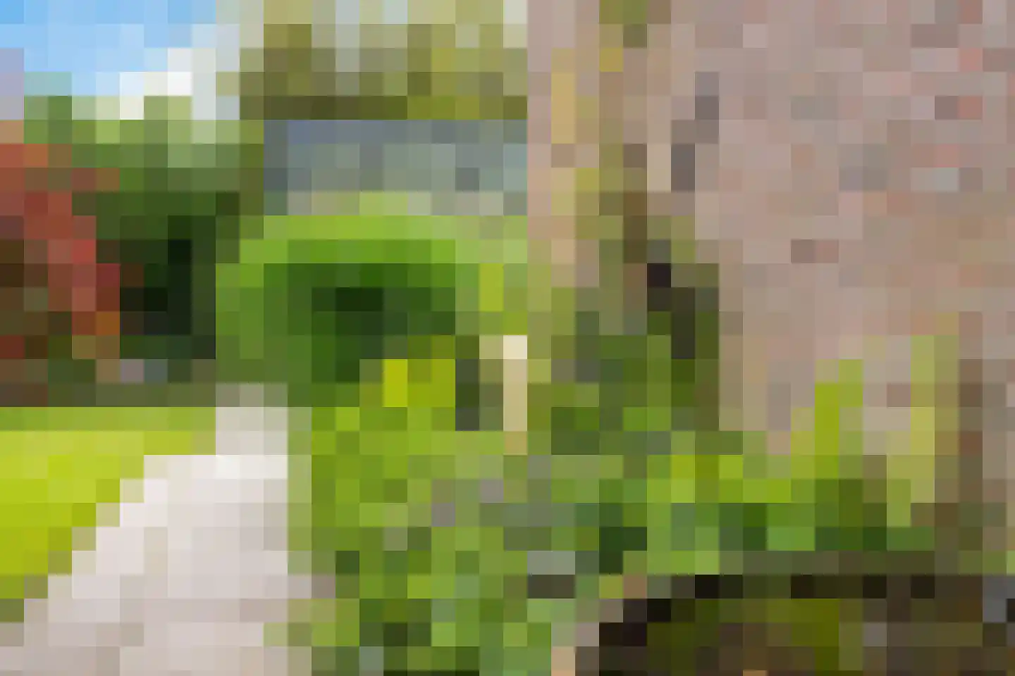 Heechkamp 8 Balk thumbnail 38