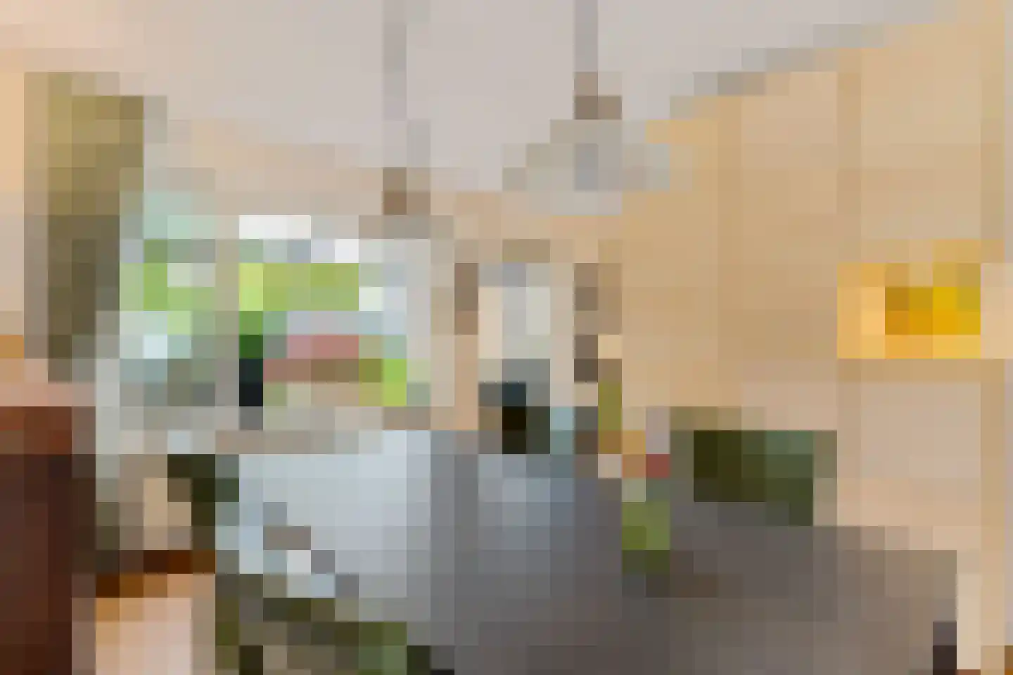 Heechkamp 8 Balk thumbnail 9