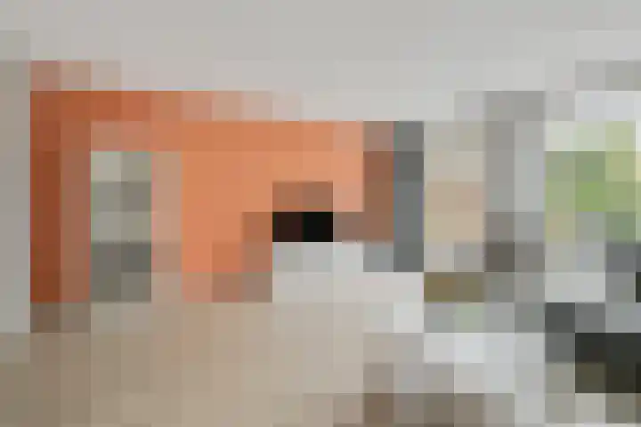Heeckerenhof 8 Didam thumbnail 5