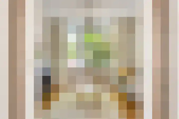 Heeckerenlaan 16 Zutphen thumbnail 12