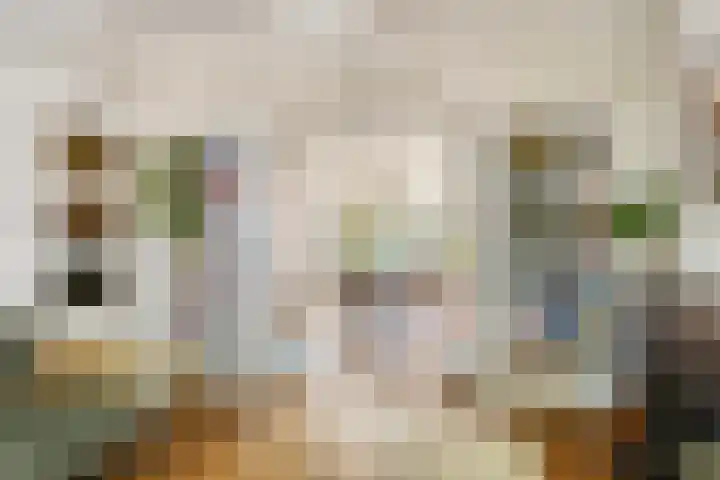 Heeckerenlaan 16 Zutphen thumbnail 14
