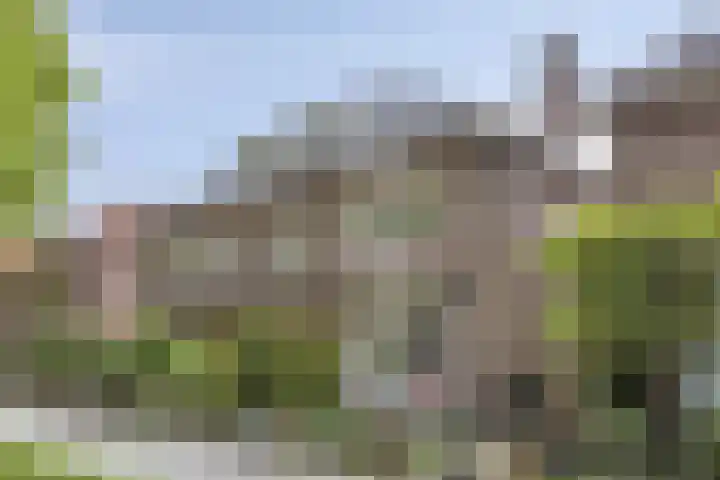 Heeckerenlaan 16 Zutphen foto 2
