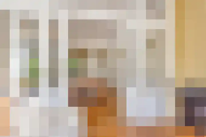 Heeckerenlaan 16 Zutphen thumbnail 21