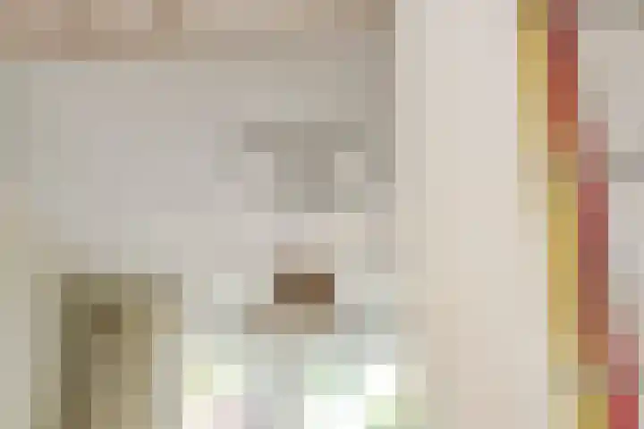 Heeckerenlaan 16 Zutphen thumbnail 22