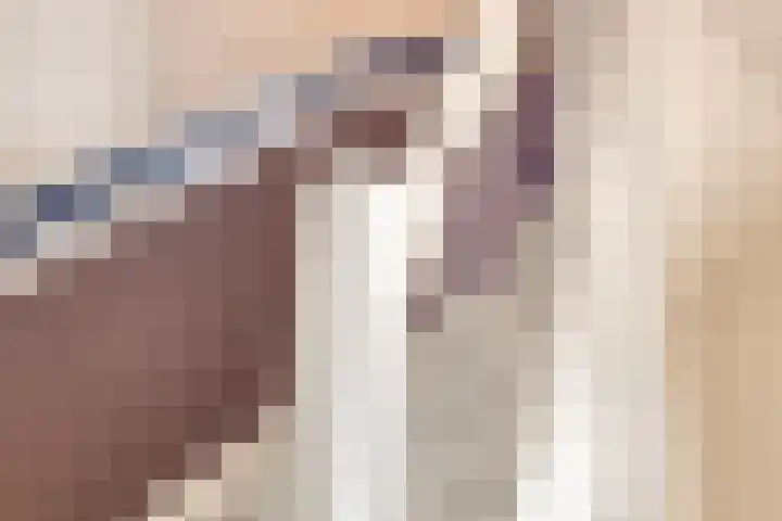 Heeckerenlaan 16 Zutphen thumbnail 28
