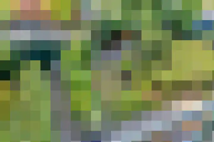 Heeckerenlaan 16 Zutphen thumbnail 34