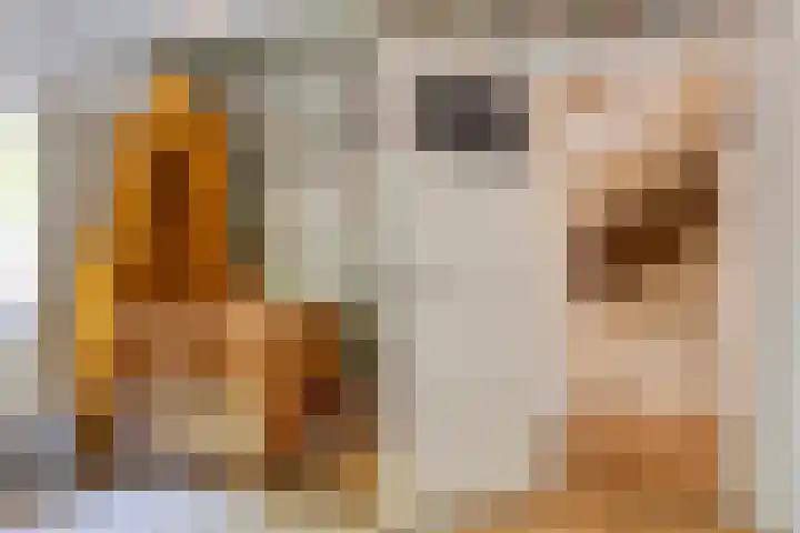 Heeckerenlaan 16 Zutphen thumbnail 39