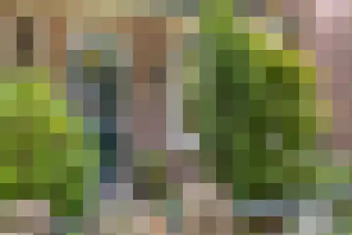 Heeckerenlaan 16 Zutphen thumbnail 4