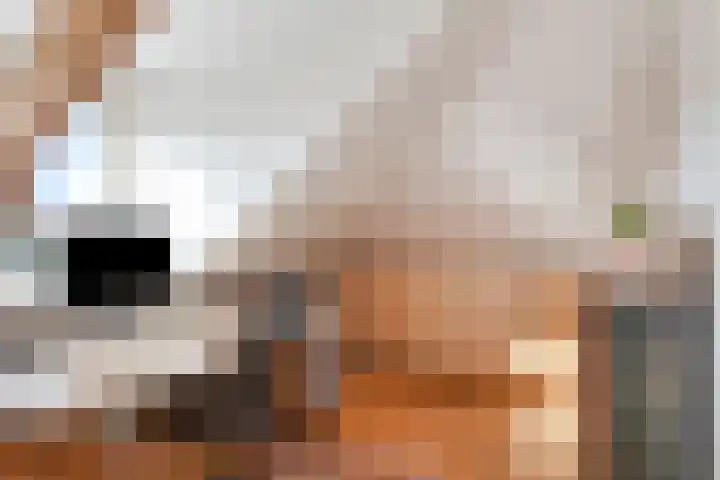 Heeckerenlaan 16 Zutphen thumbnail 44