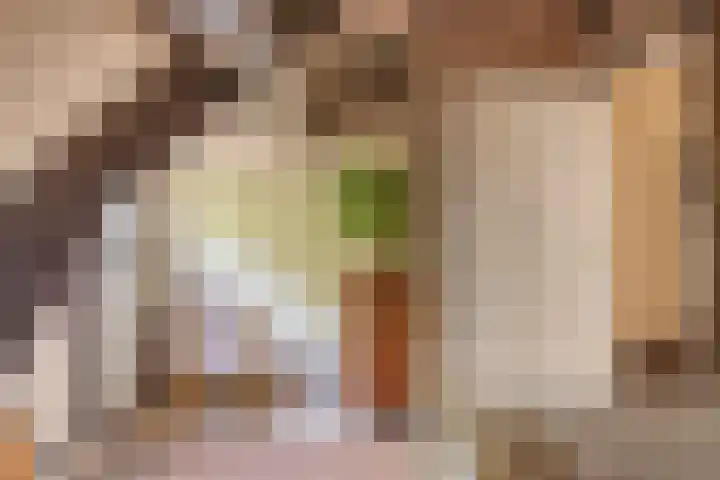 Heeckerenlaan 16 Zutphen thumbnail 48