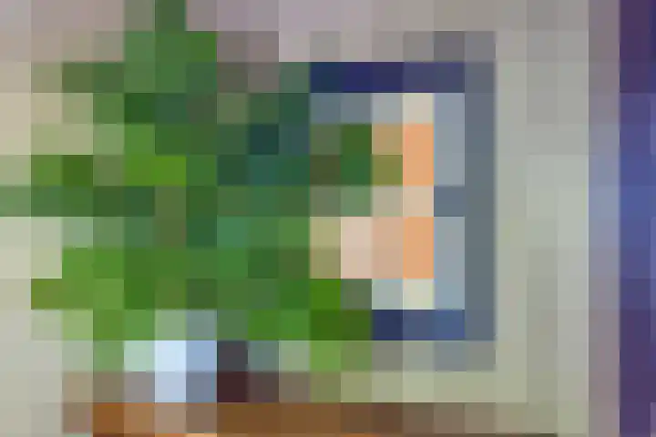 Heeckerenlaan 16 Zutphen thumbnail 49
