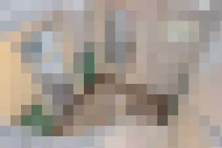 Heeckerenlaan 16 Zutphen thumbnail 5