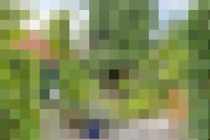 Heeckerenlaan 16 Zutphen thumbnail 50