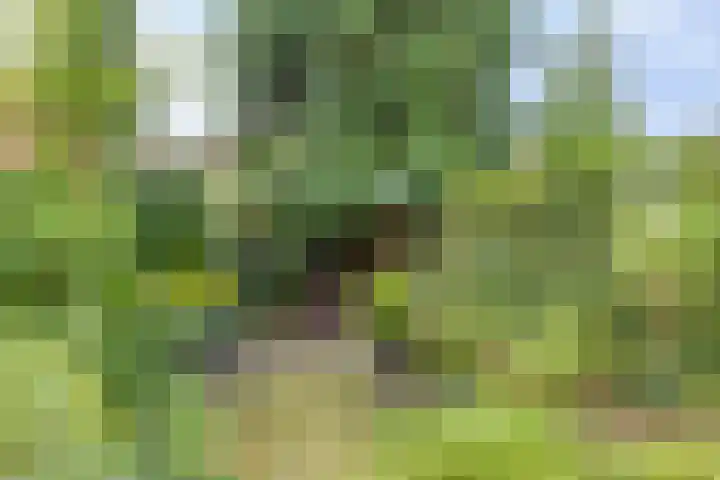 Heeckerenlaan 16 Zutphen thumbnail 51
