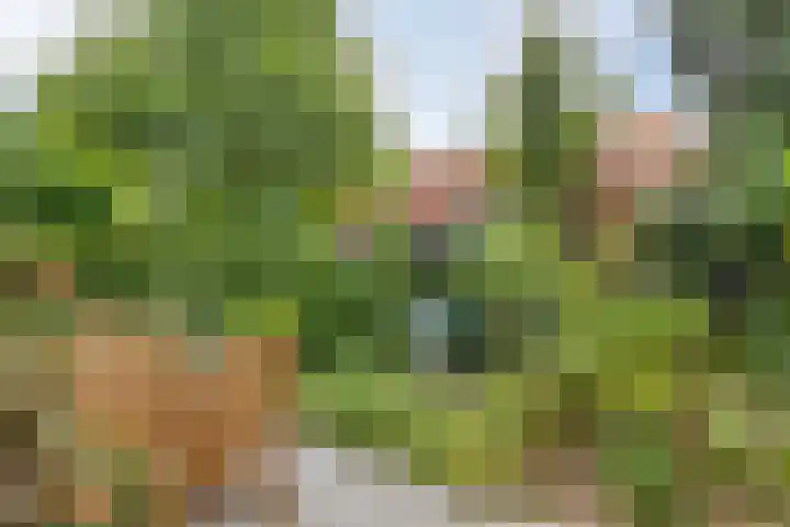Heeckerenlaan 16 Zutphen thumbnail 52