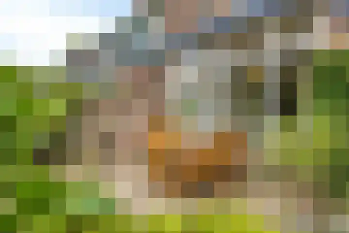 Heeckerenlaan 16 Zutphen thumbnail 53