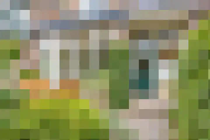 Heeckerenlaan 16 Zutphen thumbnail 54